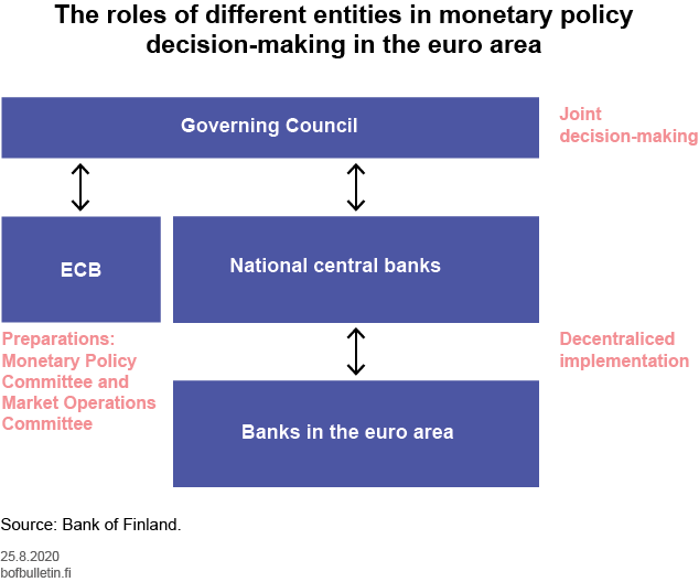 The roles of different entities in monetary policy decision making in the euro area