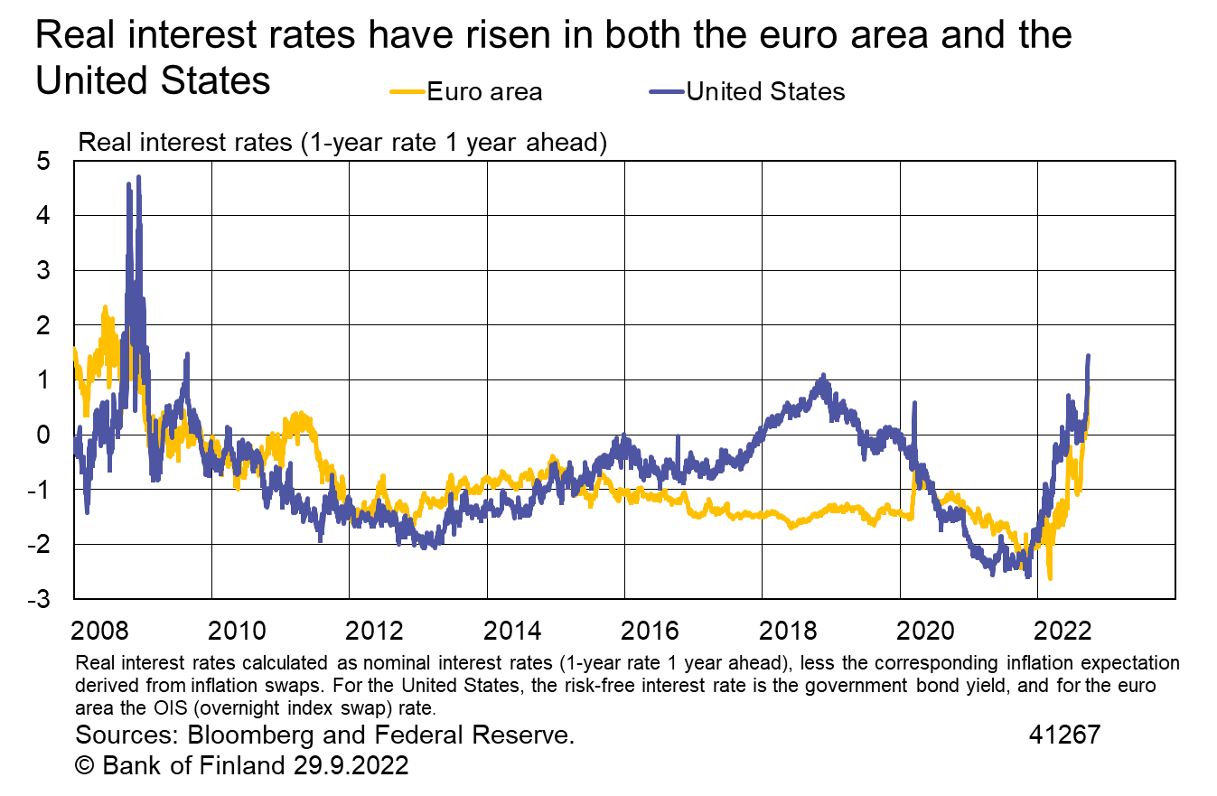 Real interest rates (1-year rate I year ahead)