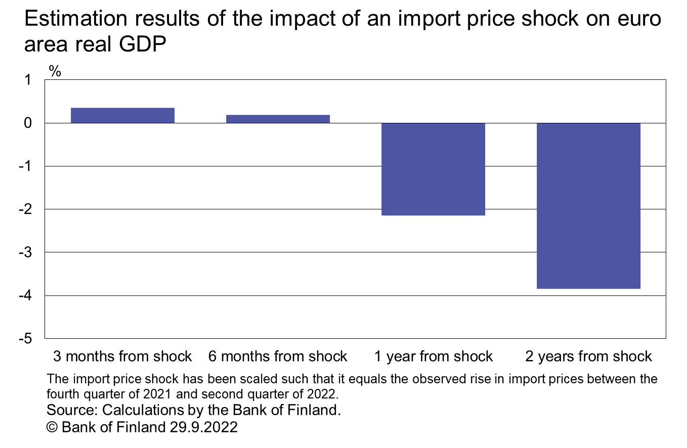 Estimation results of the impact of an import price shock on euro area real GDP