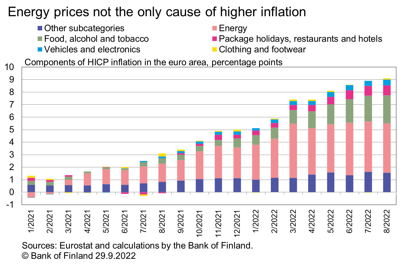 Energy prices not the only cause of higher inflation