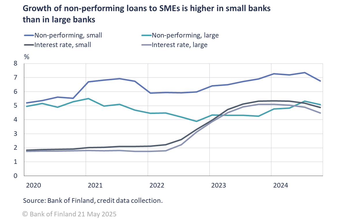 Growth of non-performing loans to SME's is higher in small banks than in large banks