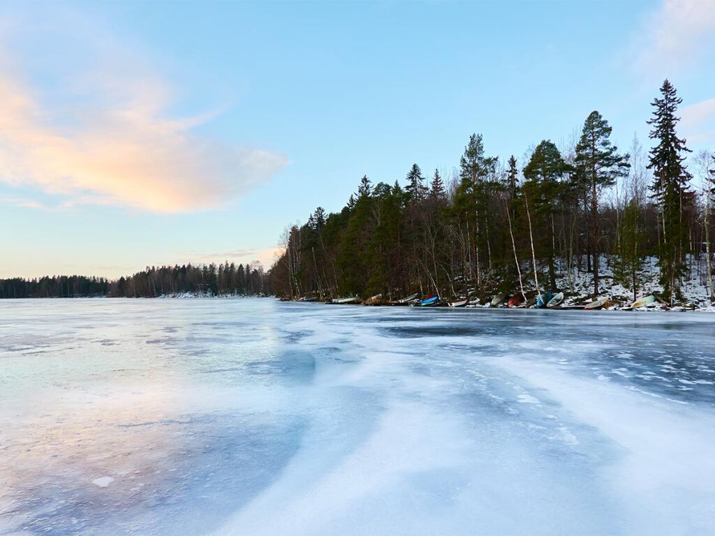 Suomen talous – Euro ja talous